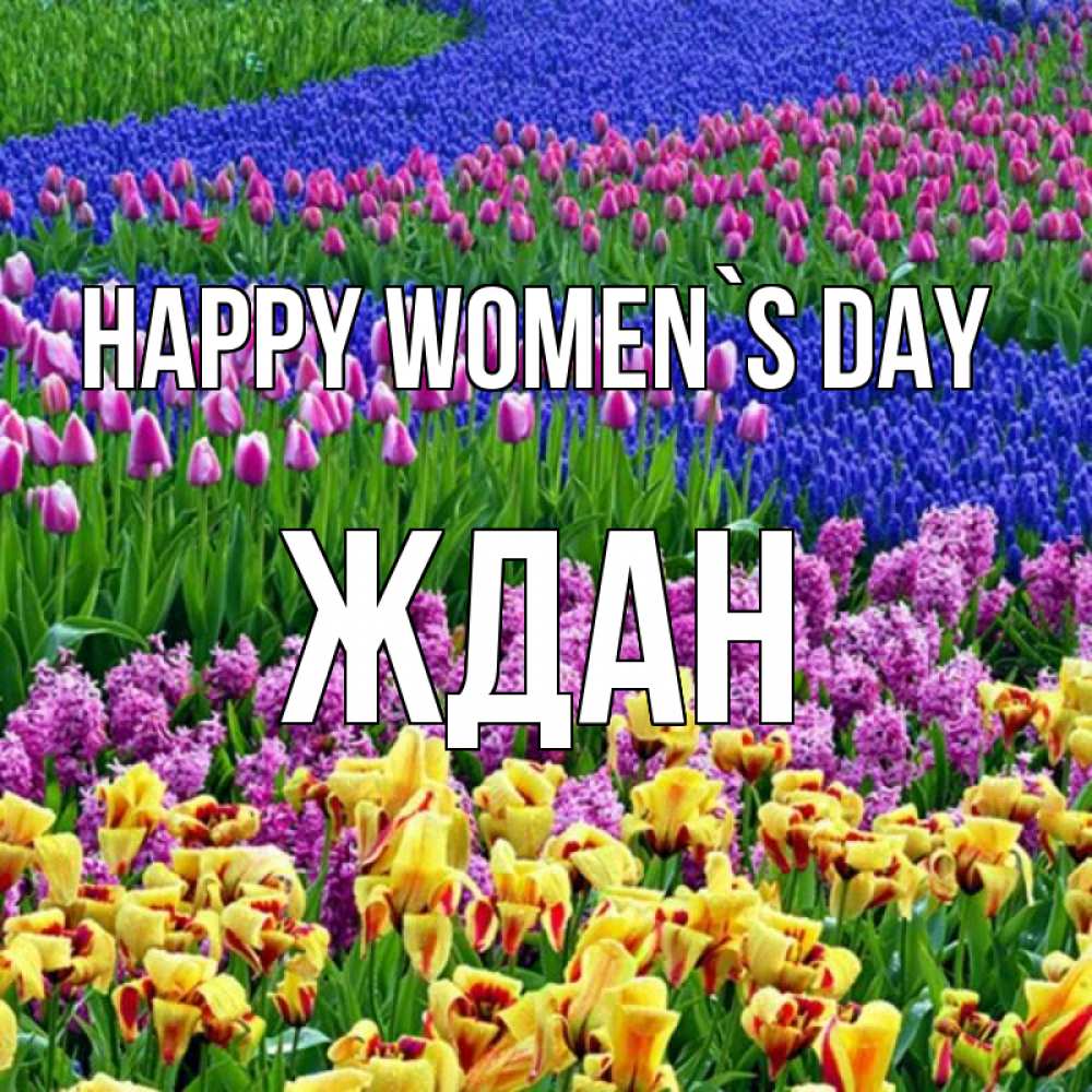Greetings card с именем, Ждан happy women`s day цветы Greetings with text for free download 